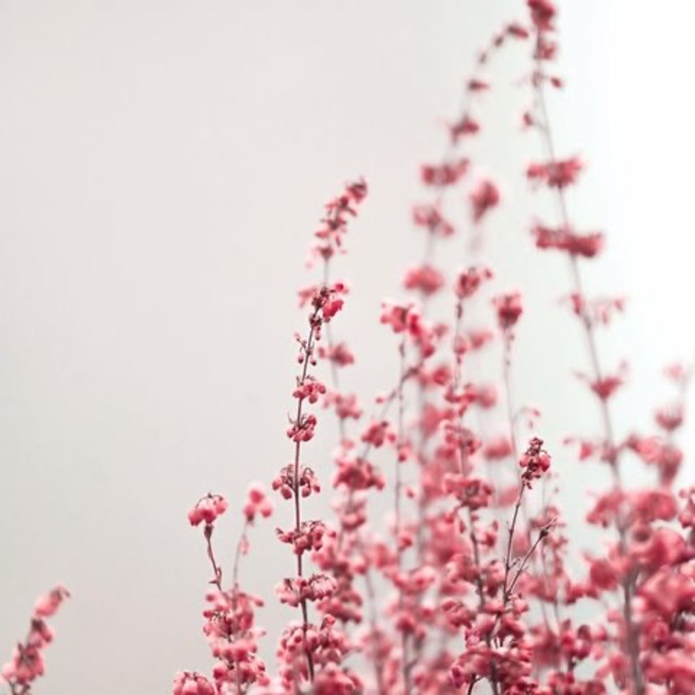 Meet your Posher, Michela